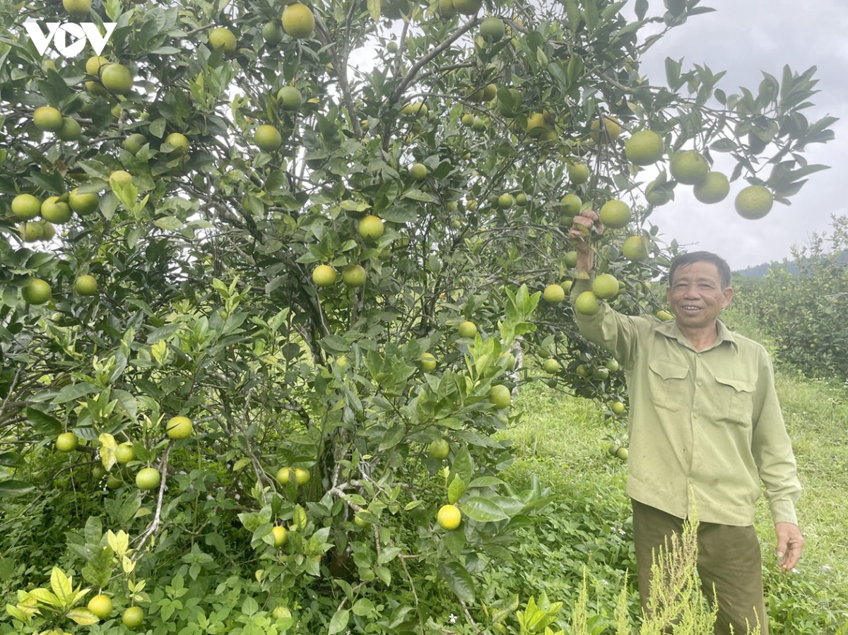 Lan tỏa gương sáng người dân tộc thiểu số đạt danh hiệu "Sản xuất kinh doanh giỏi"