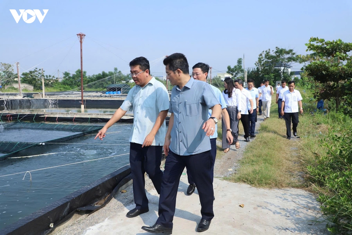 ninh binh thao go vuong mac du an quat lam mo huong phat trien kinh te bien hinh anh 3