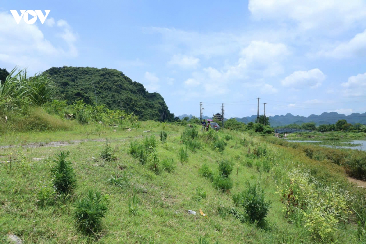 chinh phu de xuat ap thue 0,2 voi dat bo hoang hinh anh 1