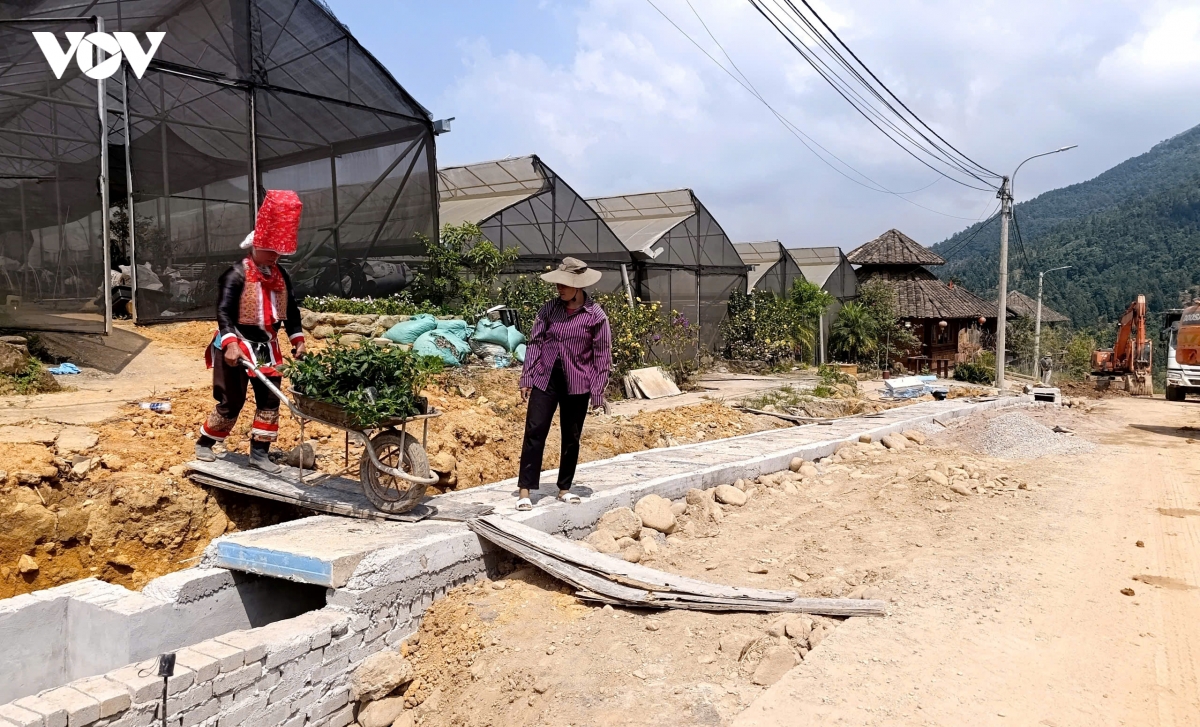 nong dan quang ninh danh thuc loi the ban dia, mo huong sinh ke ben vung hinh anh 3