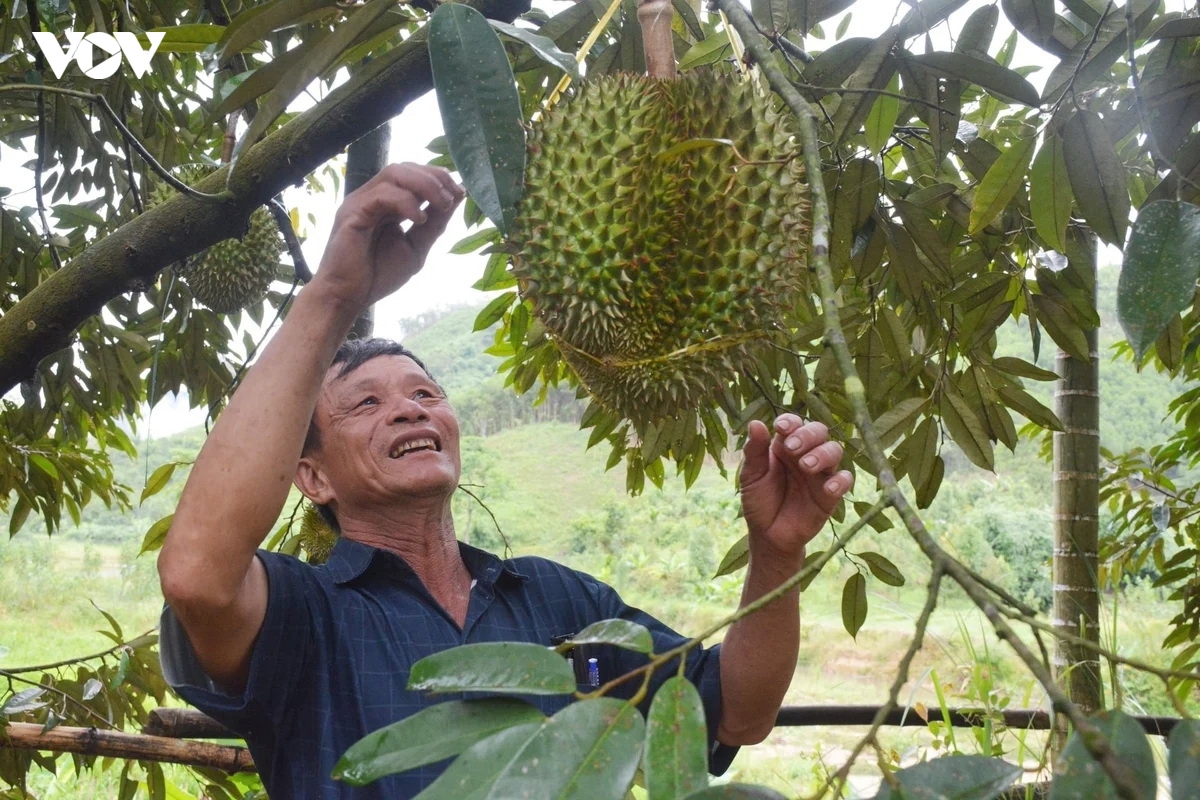 lan toa guong sang nguoi dan toc thieu so dat danh hieu san xuat kinh doanh gioi hinh anh 3