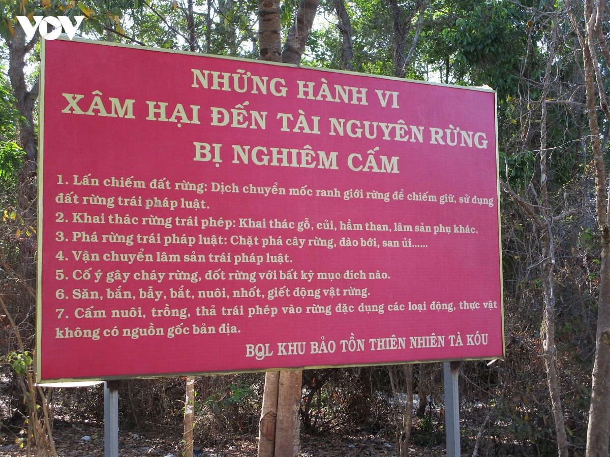 thanh lap khu du tru thien nhien ta kou o lam Dong hinh anh 2
