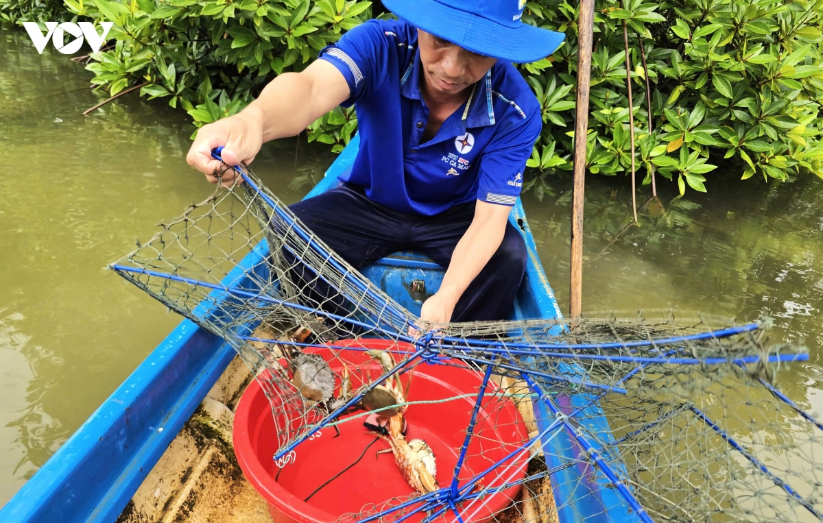 Ung dung cong nghe dua thit cua ca mau vuon xa hinh anh 4