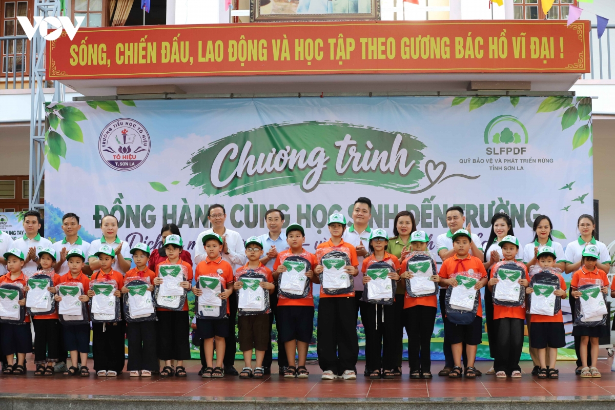 gieo y thuc bao ve rung tu mai truong hinh anh 4