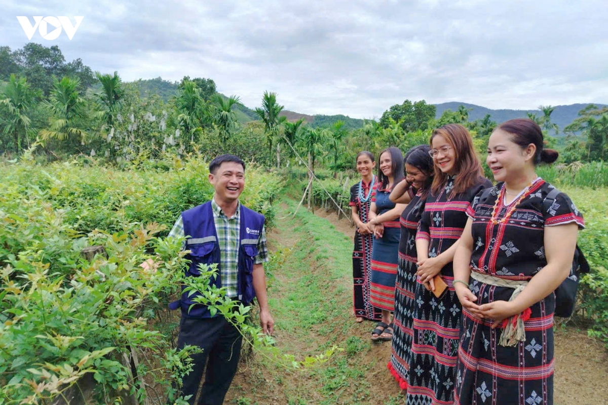 phu nu mien nui Da nang lam giau tren vung dat kho hinh anh 4