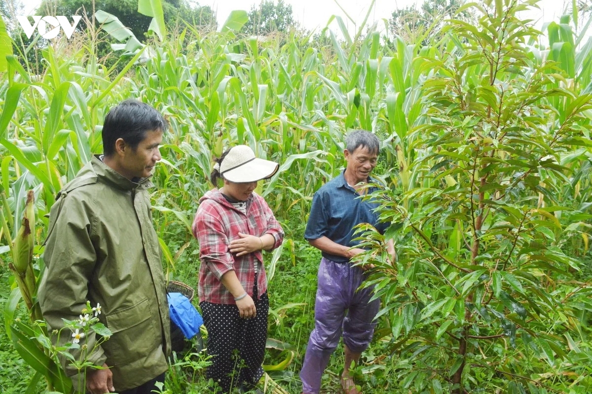 lan toa guong sang nguoi dan toc thieu so dat danh hieu san xuat kinh doanh gioi hinh anh 4