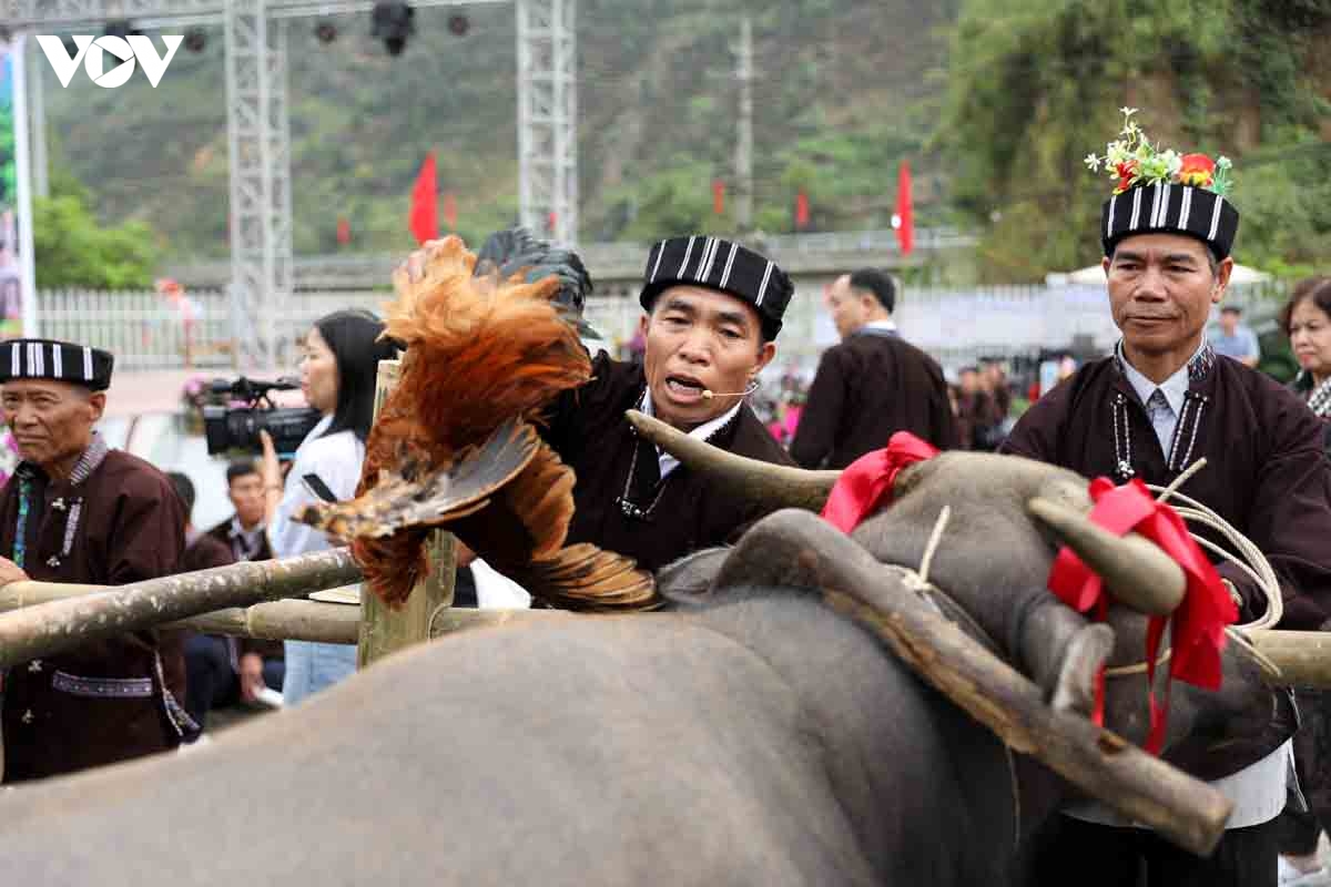 su khon khoai gin giu hon van hoa nguoi lu hinh anh 8