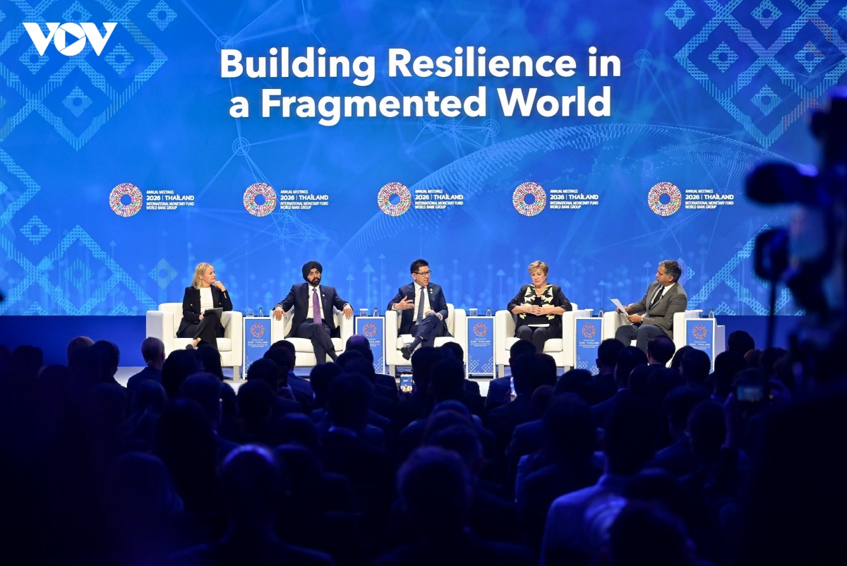 imf - world bank 2026 bien dong von thanh nang luc phat trien noi sinh hinh anh 3