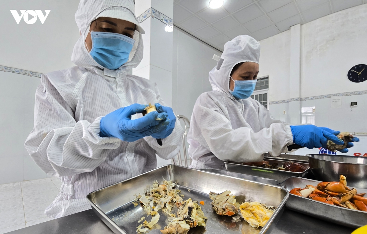 Ung dung cong nghe dua thit cua ca mau vuon xa hinh anh 9