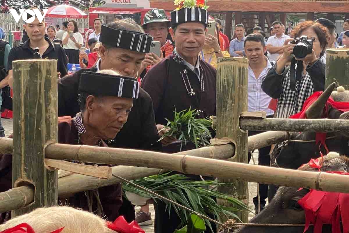 su khon khoai gin giu hon van hoa nguoi lu hinh anh 9