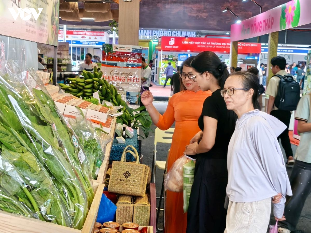 tp.hcm co 47.000 doanh nghiep roi thi truong trong 9 thang qua hinh anh 1