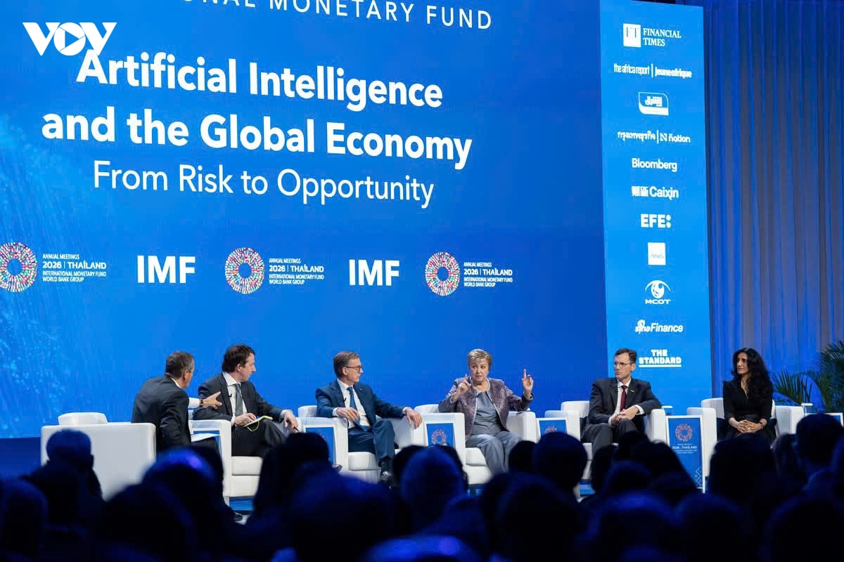 imf - world bank 2026 bien dong von thanh nang luc phat trien noi sinh hinh anh 4
