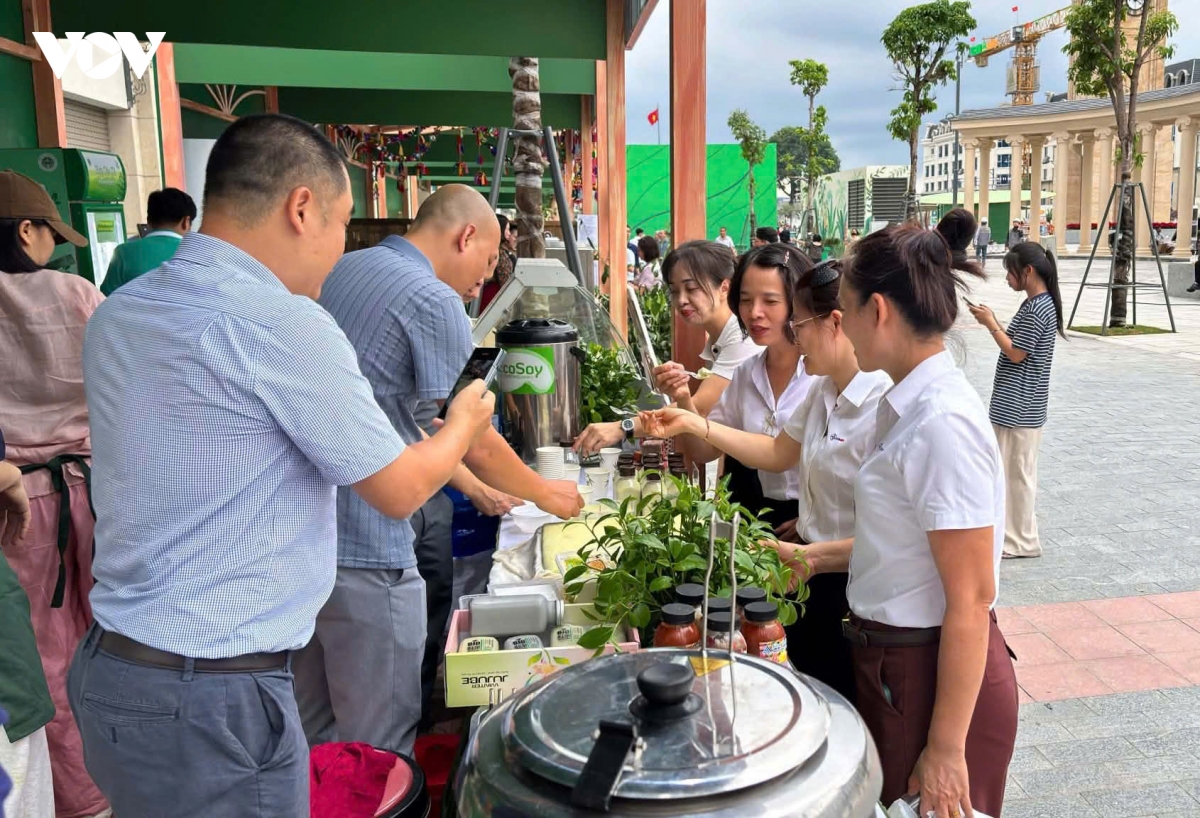 kham pha am thuc sang tao tai festival tra quoc te thai nguyen nam 2026 hinh anh 1