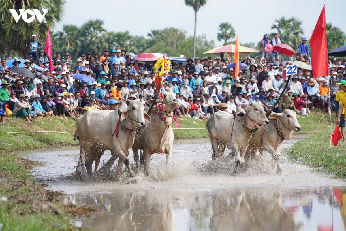 an giang 64 doi bo tranh tai tai hoi dua bo bay nui hinh anh 3