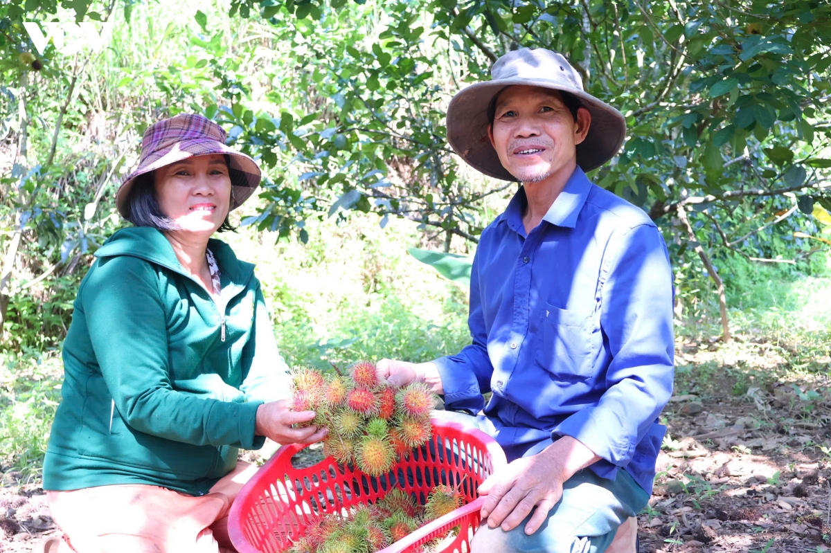 Dang vien vung nui Da nang guong mau thuc hien chuong trinh muc tieu quoc gia hinh anh 3