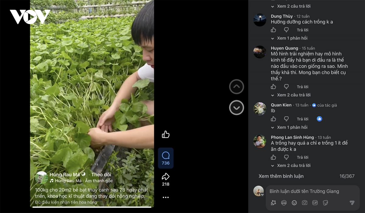 anh-cao-van-hung-chia-se-cac-video-trong-rau-ma-thuy-canh-va-kinh-nghiem-cho-cac-ho-nong-dan-khac.jpg