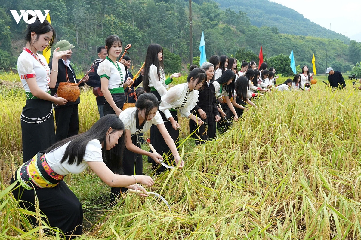 theo nhip chay khua luong, vui hoi kin lau khau mau cua nguoi thai trang lai chau hinh anh 1