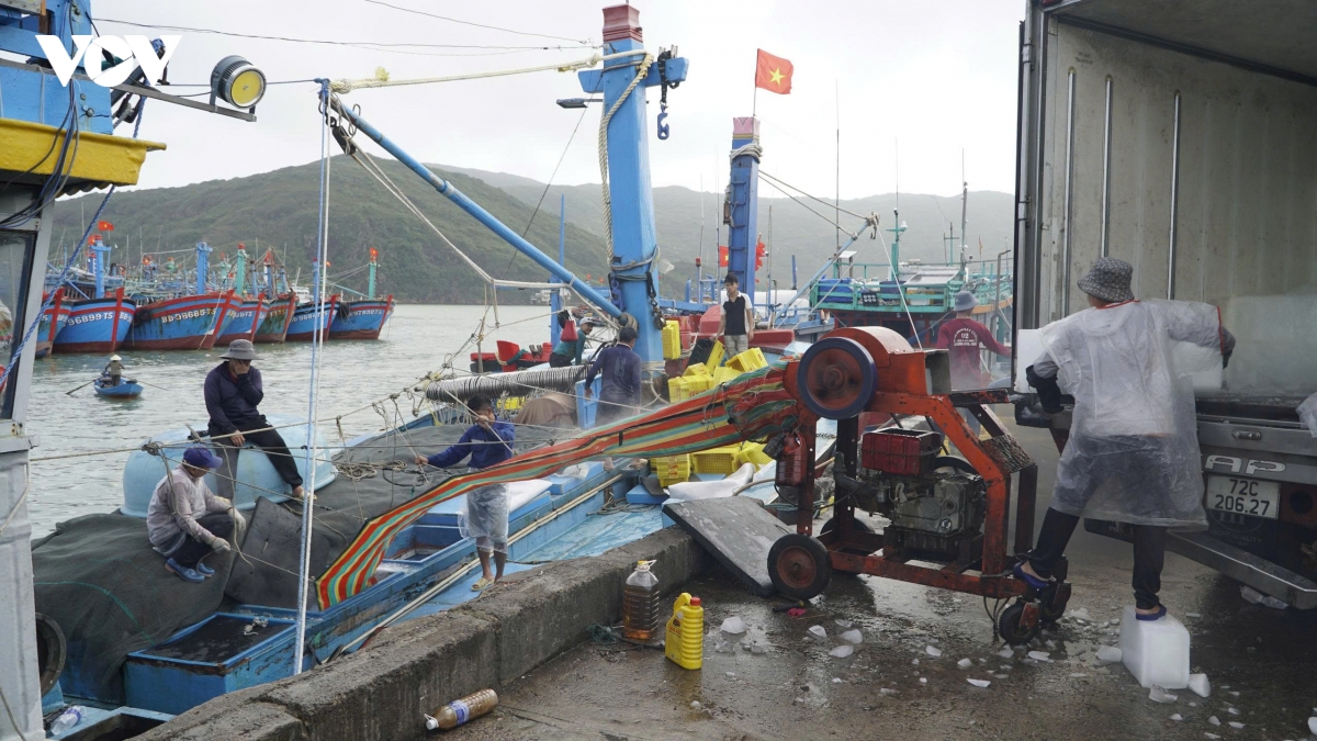 gia lai siet chat quan ly, ngu dan chu dong chong iuu hinh anh 4