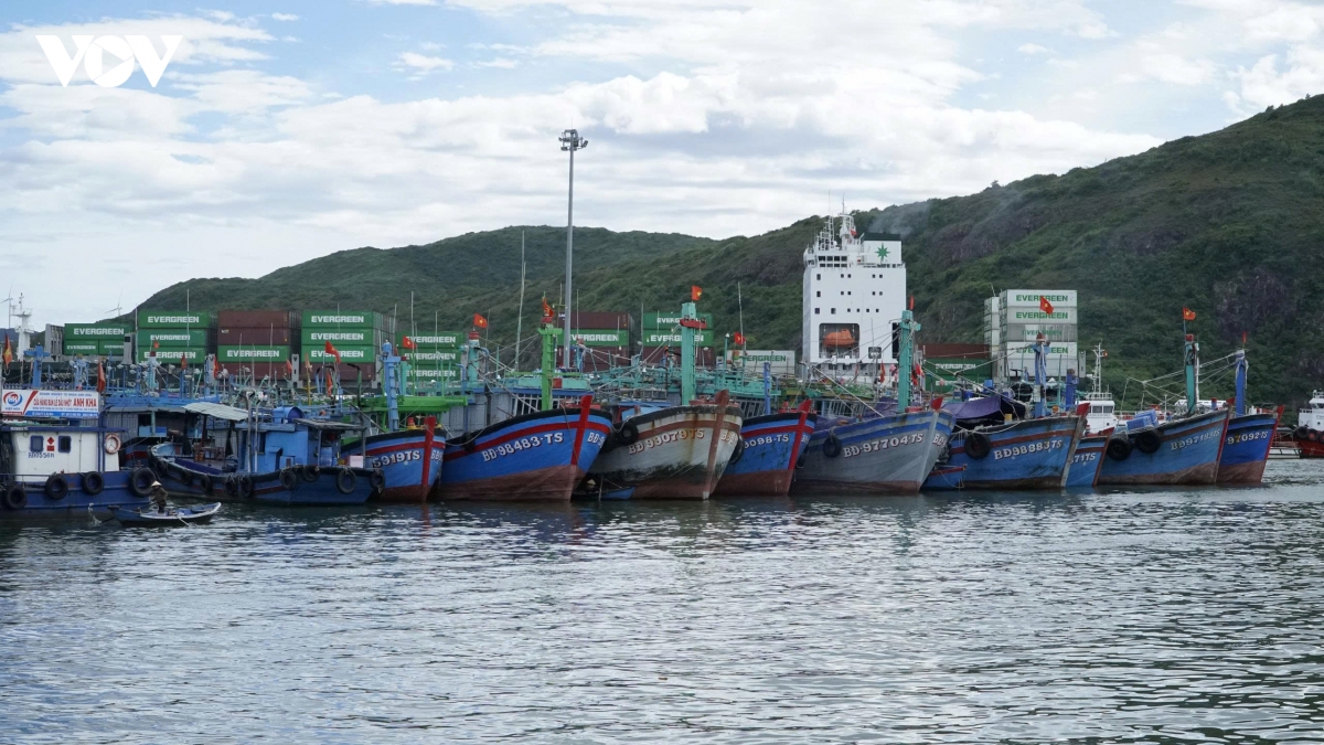 gia lai siet chat quan ly, ngu dan chu dong chong iuu hinh anh 5