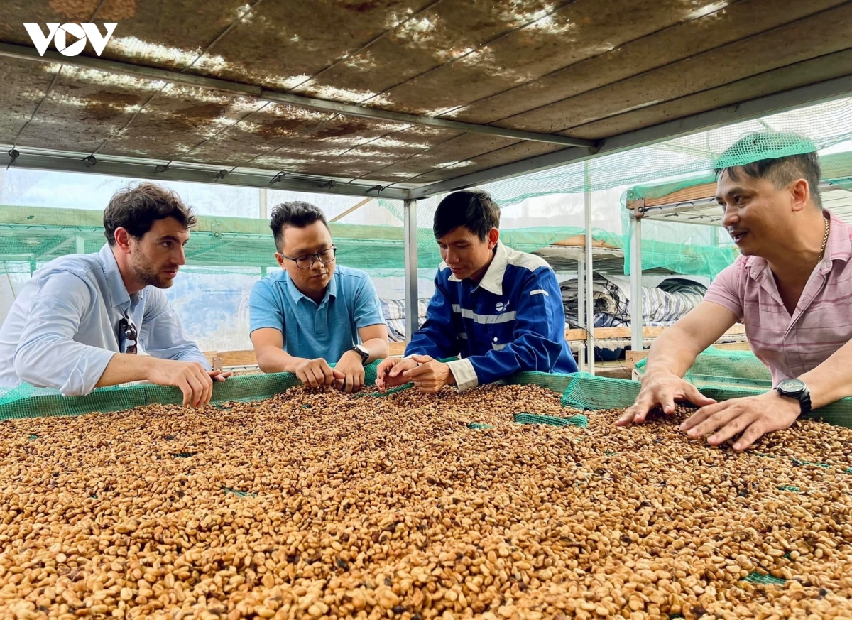 Đắk Lắk xuất khẩu nông, lâm, thủy sản hơn 2,3 tỷ USD trong 9 tháng