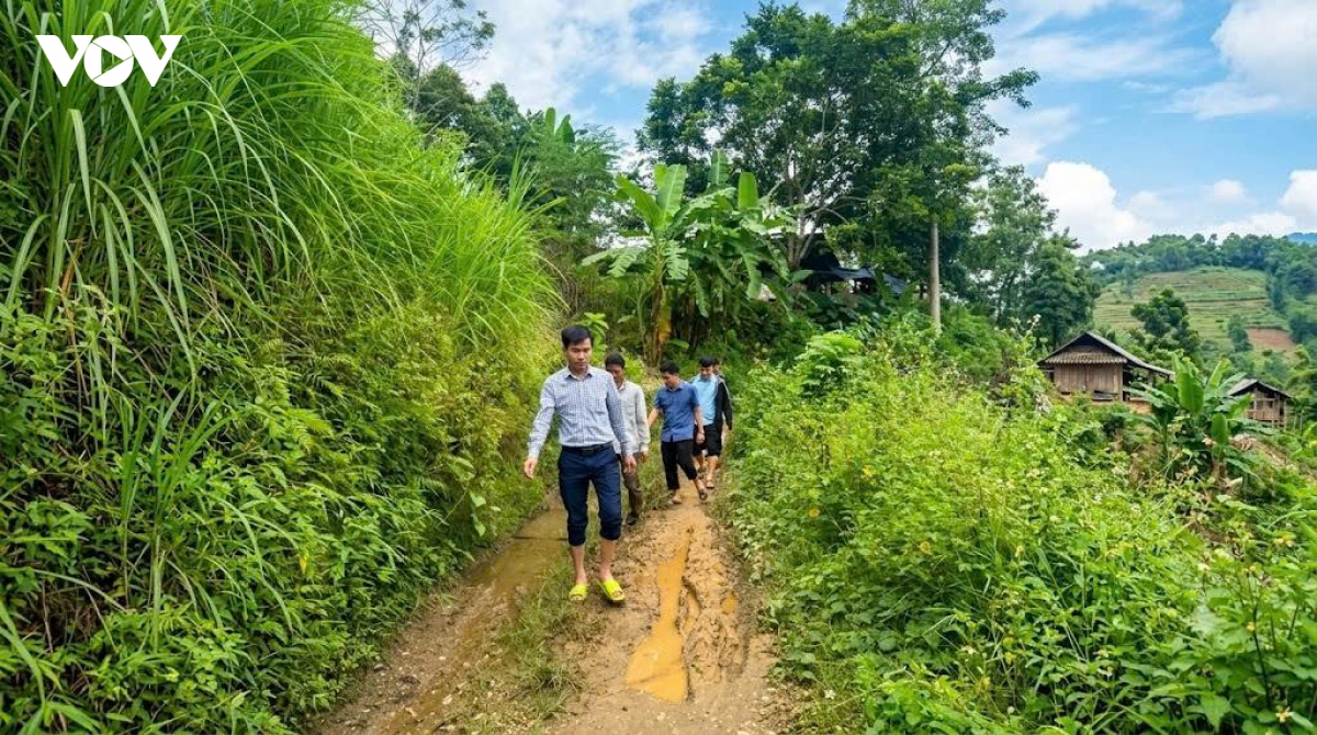 7 hoc sinh co nguy co bo hoc o xuan lac da tro lai truong hinh anh 1