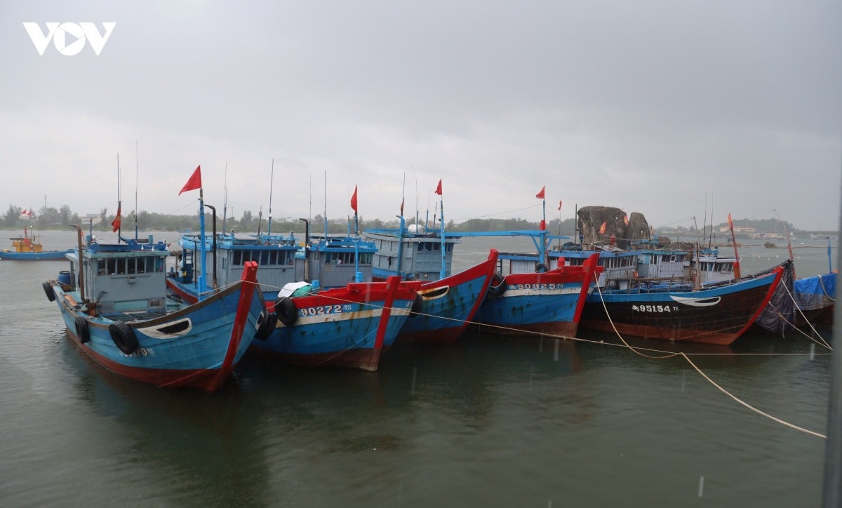 quang ngai cang ca hoan tat thu tuc mo, tau van kho cap ben hinh anh 5