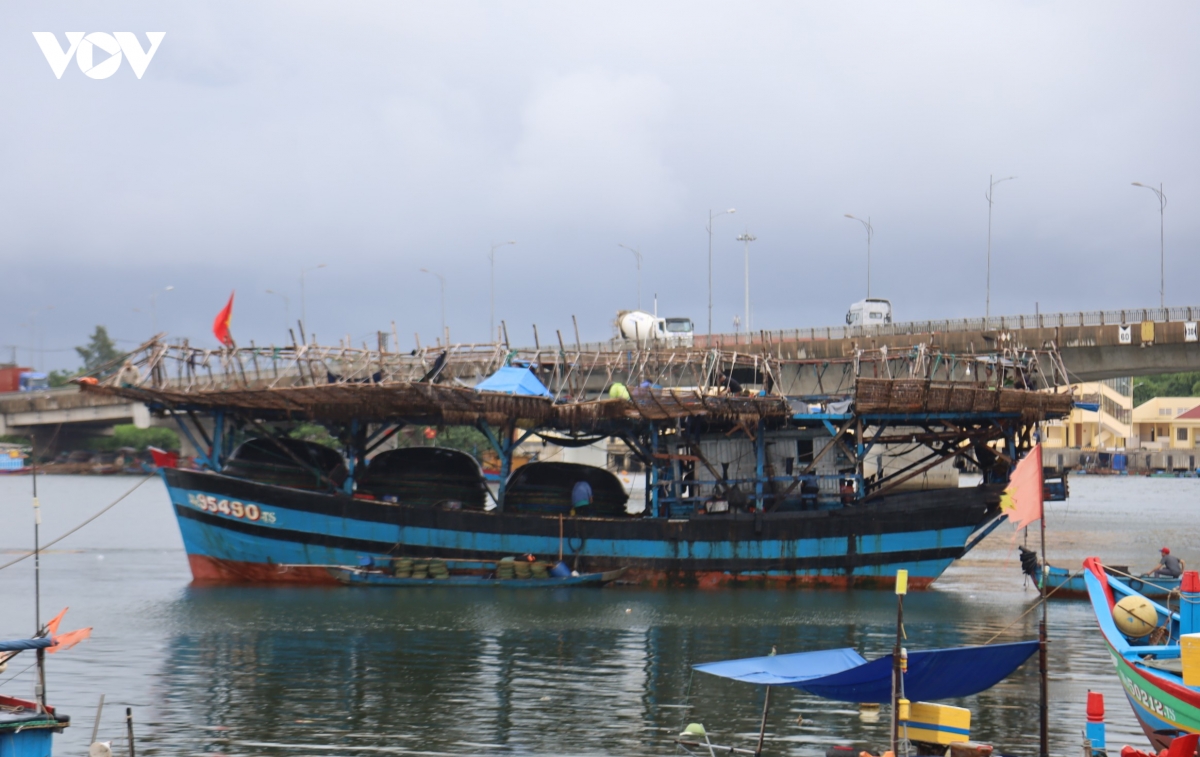 quang ngai cang ca hoan tat thu tuc mo, tau van kho cap ben hinh anh 1