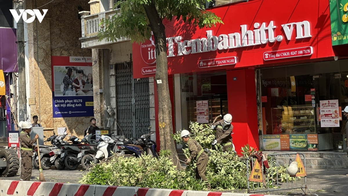 ha noi bat dau cat tia hoa sua no day de giam mui huong hinh anh 6
