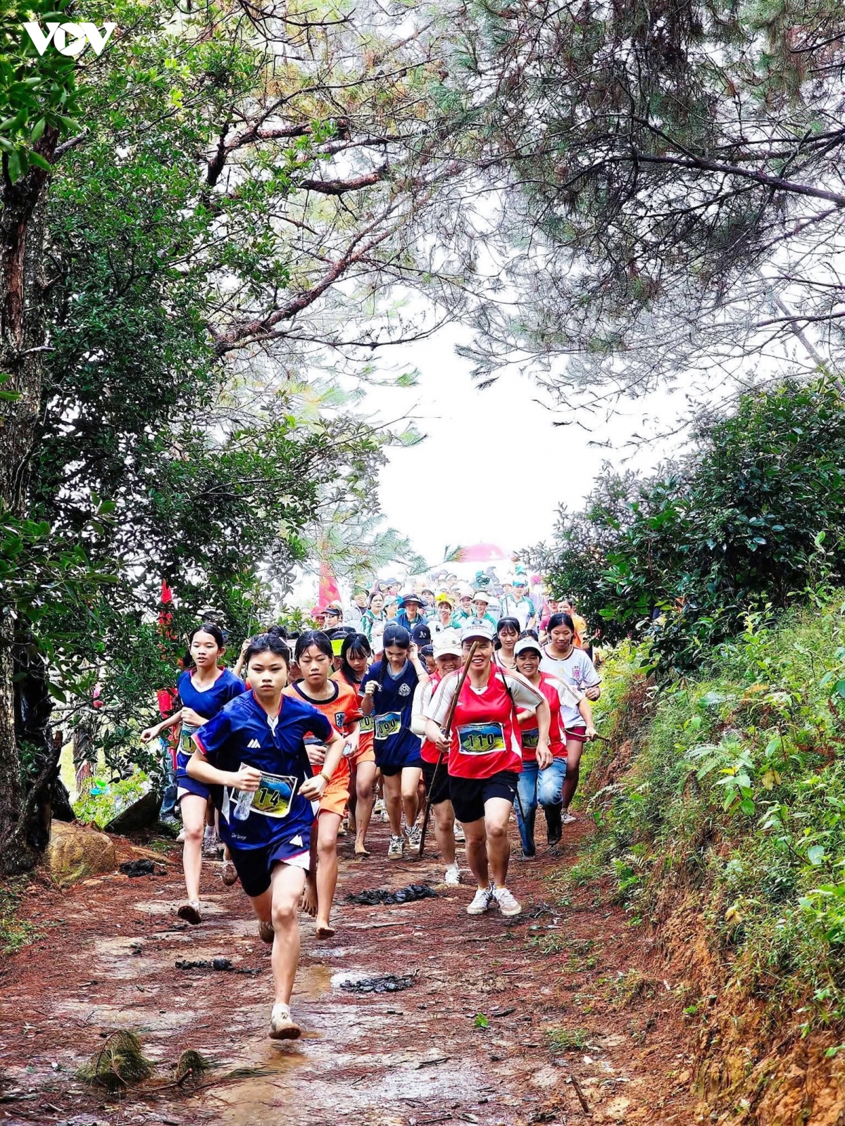 gan 700 nguoi chinh phuc dinh cao xiem - camping don mua vang luc hon quang ninh hinh anh 2