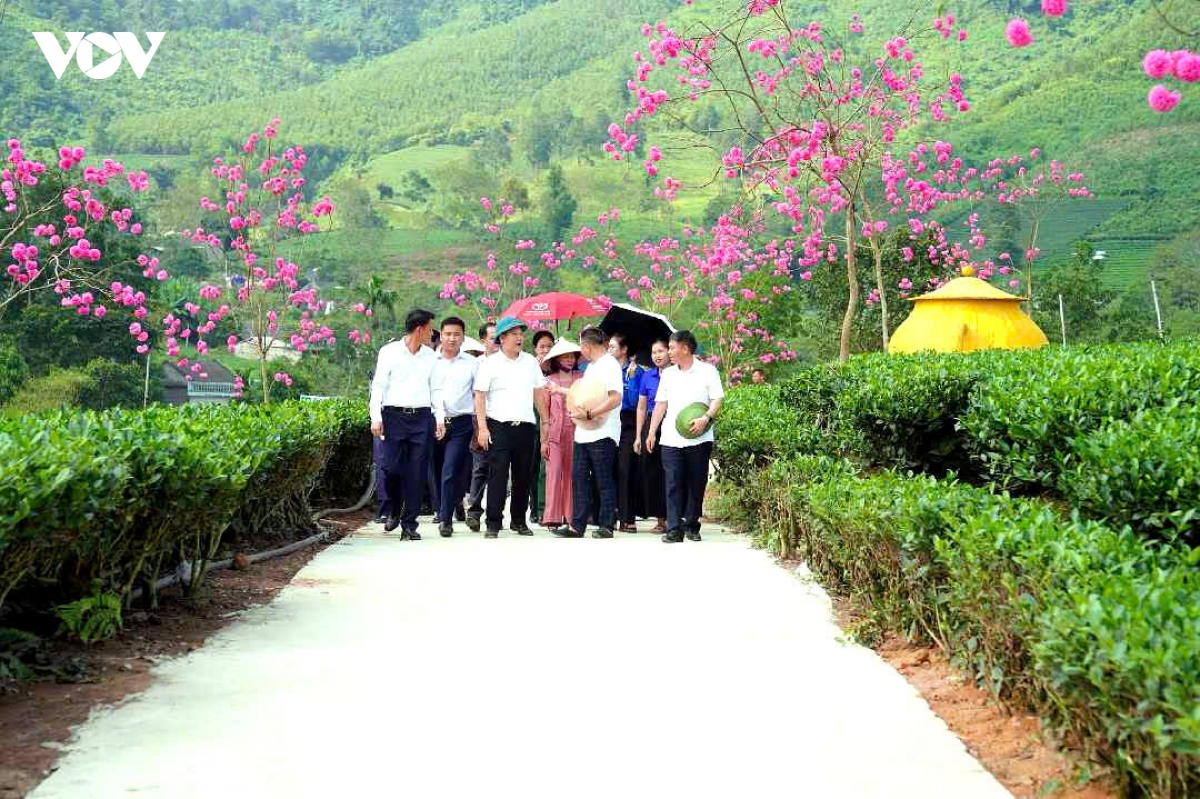 nguoi lam che thai nguyen truoc them festival tra quoc te hinh anh 3