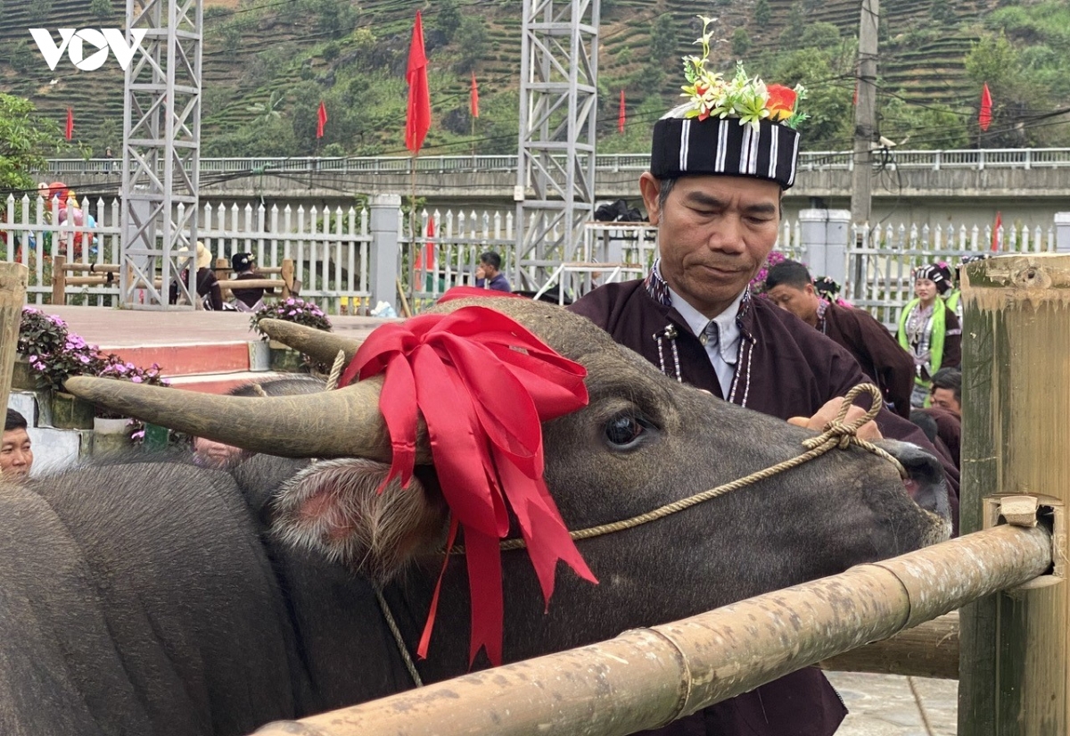 gin giu hon van hoa dan toc lu o lai chau hinh anh 4