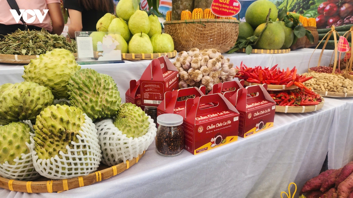 nguoi son la thich thu kham pha food tour tai le hoi ca phe hinh anh 8