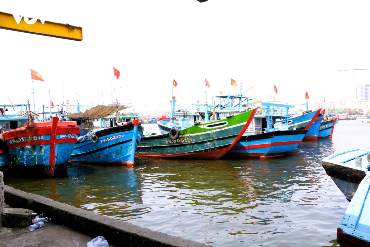 Da nang khep kin chuoi giam sat iuu hinh anh 3