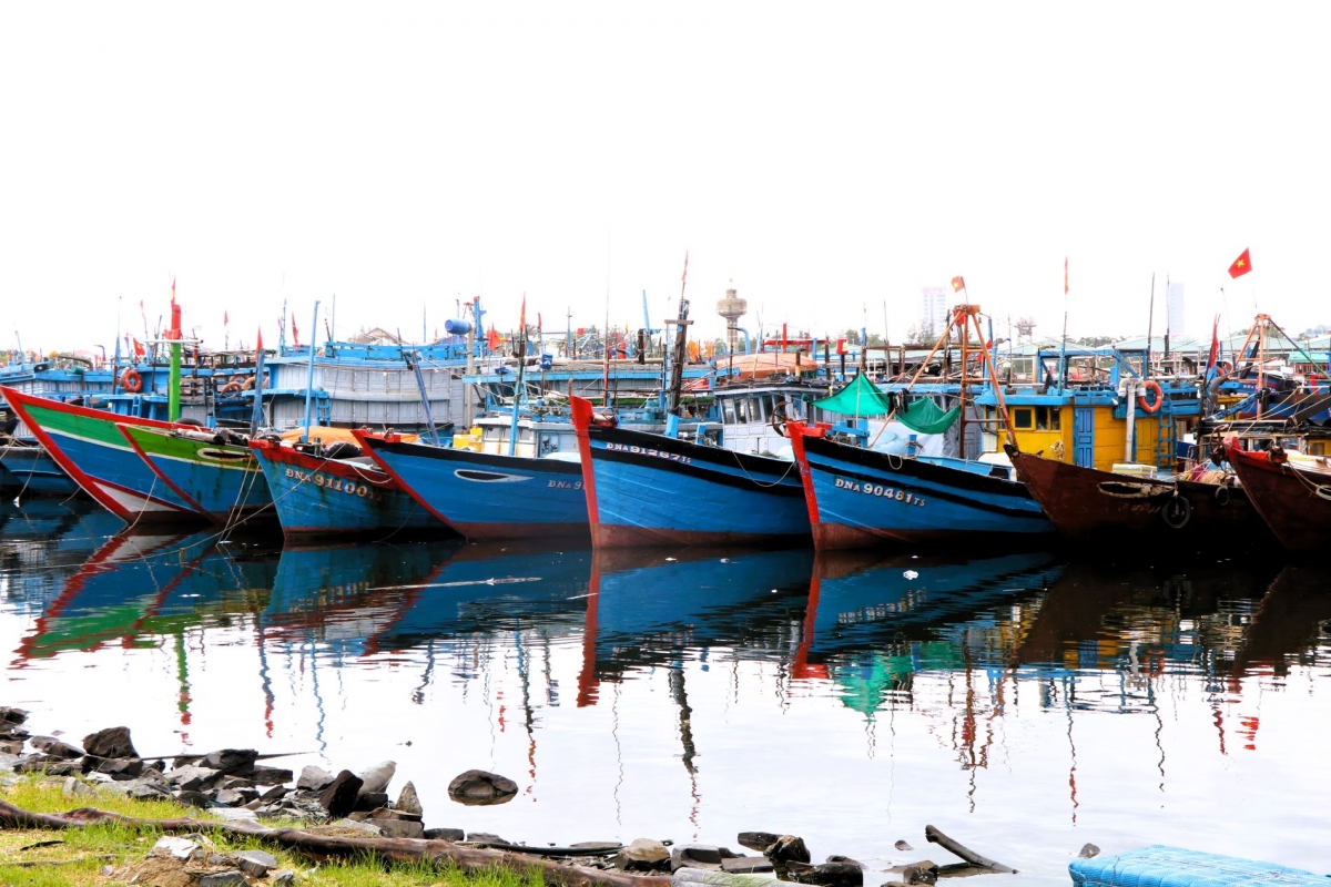 Da nang khep kin chuoi giam sat iuu hinh anh 5