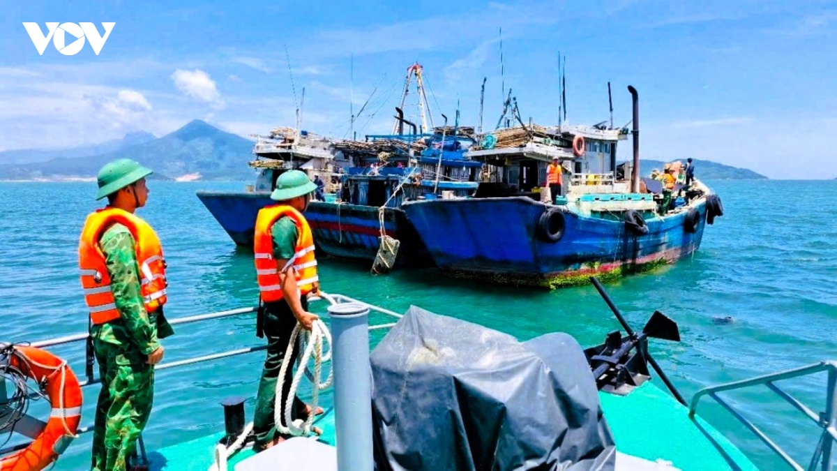 Da nang khep kin chuoi giam sat iuu hinh anh 4