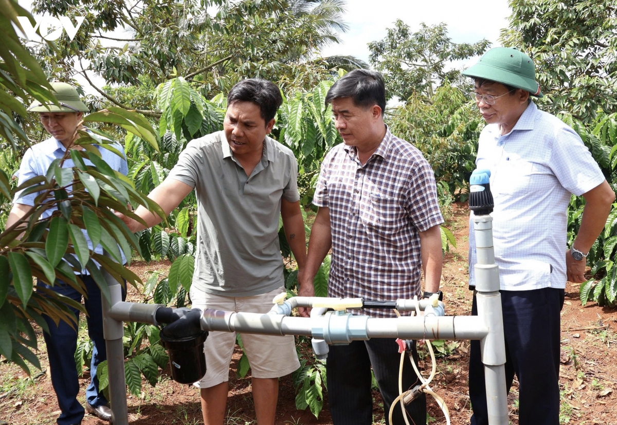 Đắk Lắk chủ động ứng phó hạn hán do El Nino