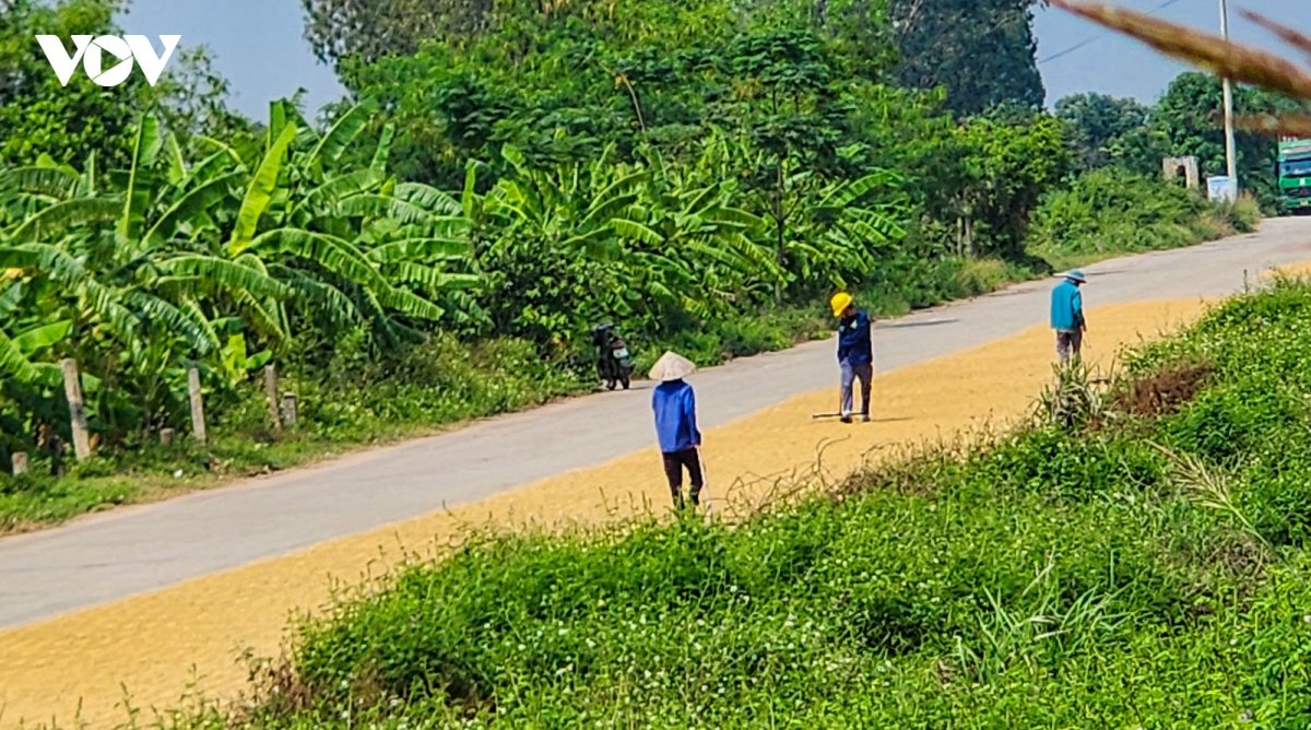 mat de song Day nut toac, cau xay xong nhung thieu duong ket noi o ninh binh hinh anh 10