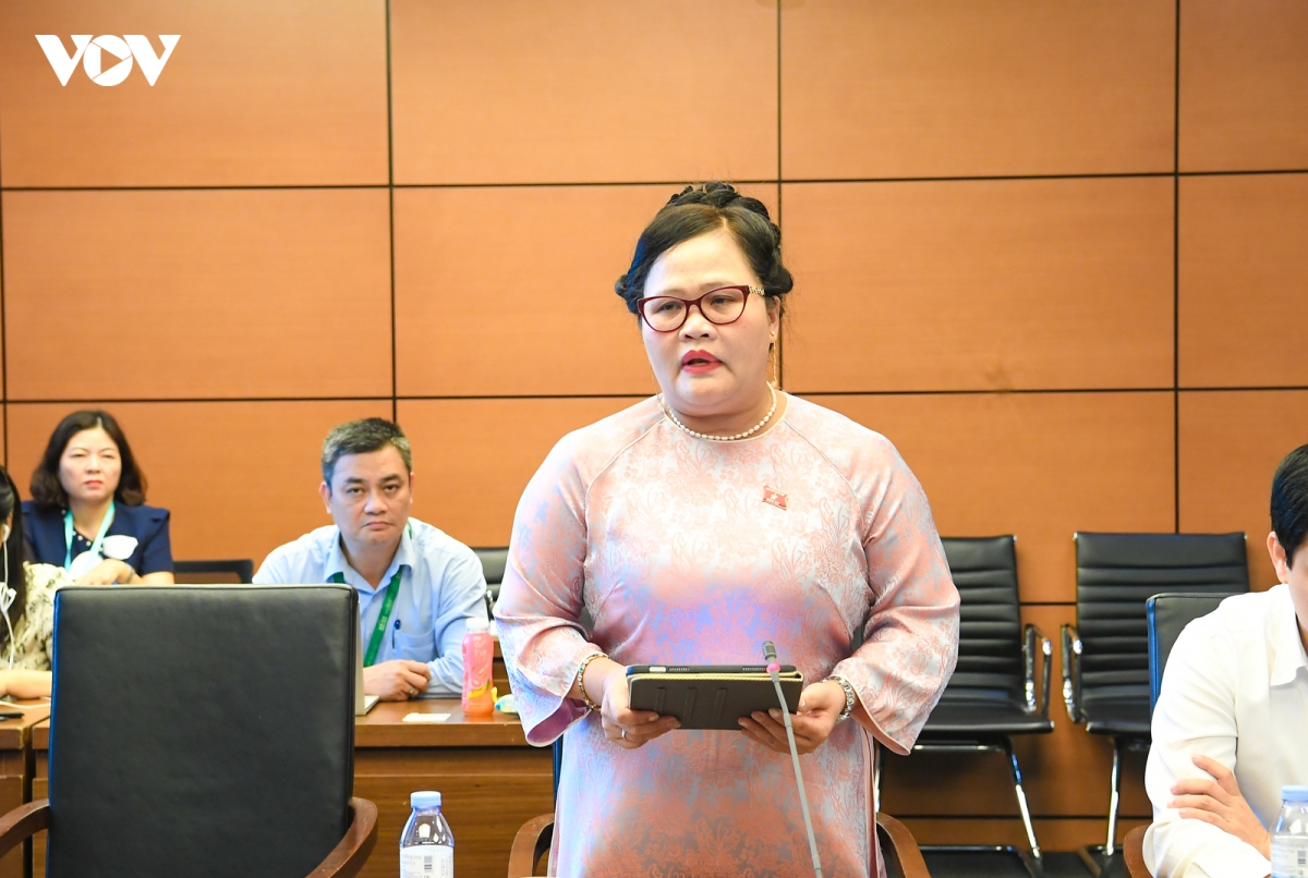 Dai bieu quoc hoi de nghi con nuoi da thanh nien can duoc biet nguon goc cua minh hinh anh 1