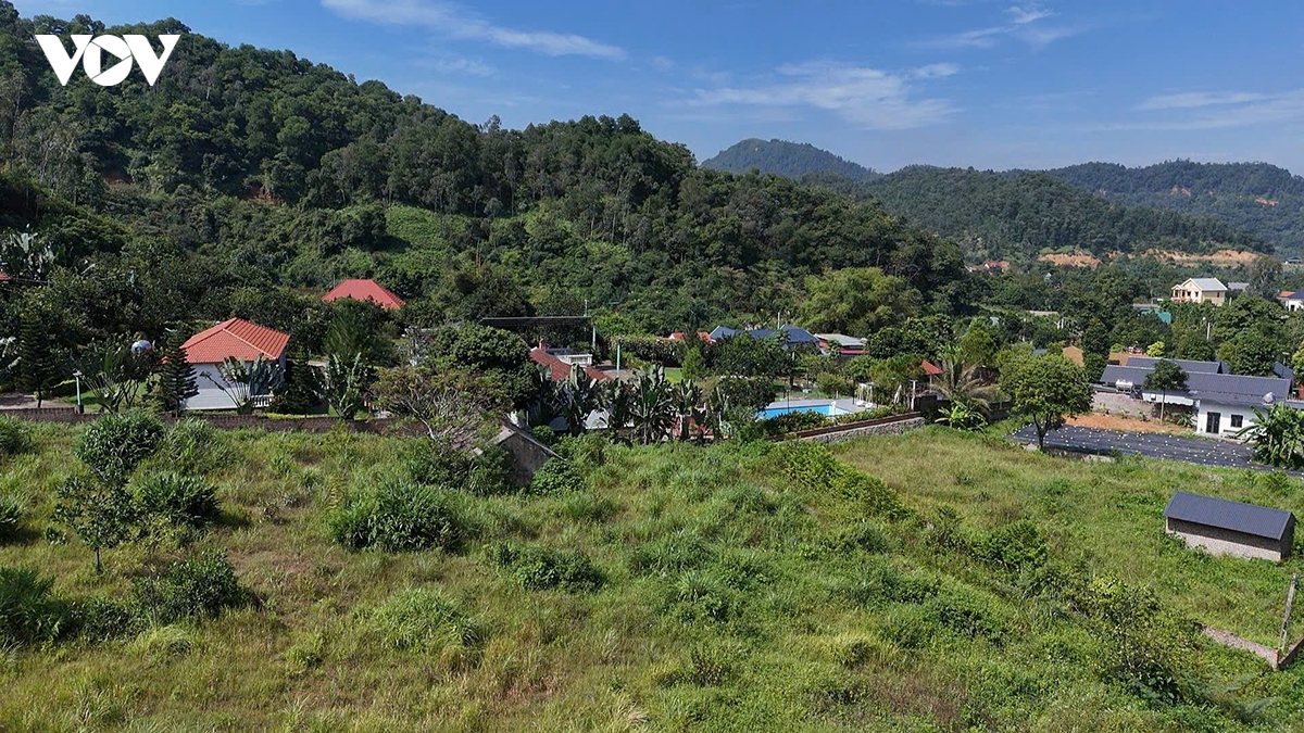 ho Dong Do vang ve sau cac dot cuong che hinh anh 10