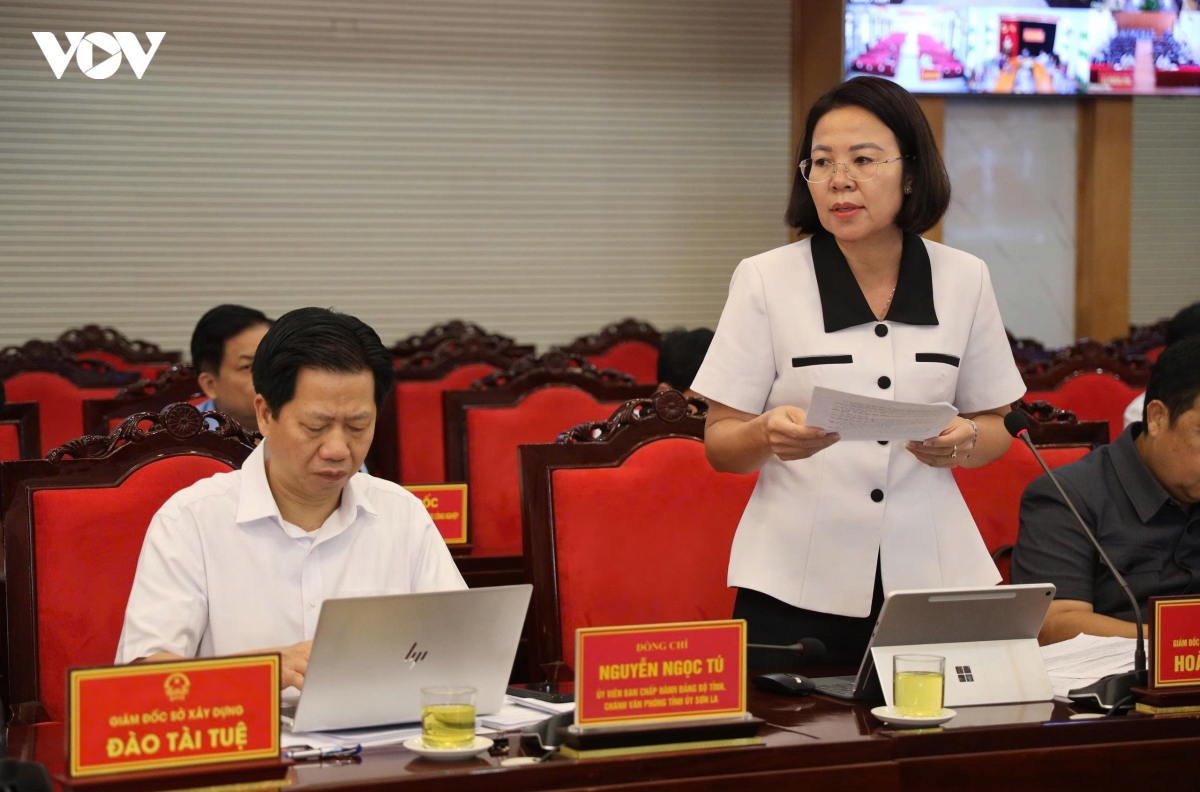son la ban giai phap thuc hien muc tieu tang truong hinh anh 3