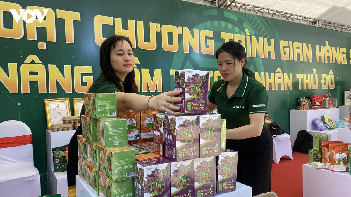 ha noi ra mat kenh tiktok ocop, ket noi san pham thu do voi thi truong so hinh anh 3