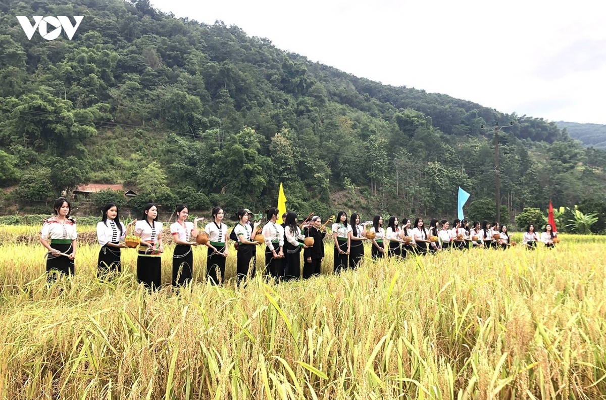 theo nhip chay khua luong, vui hoi kin lau khau mau cua nguoi thai trang lai chau hinh anh 4