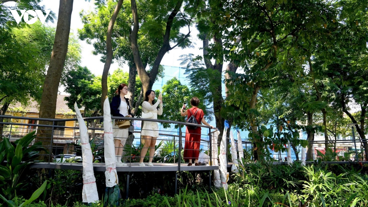 nguoi dan hao hung chup anh khong gian dai lua ky uc va khung guong ben ho guom hinh anh 6