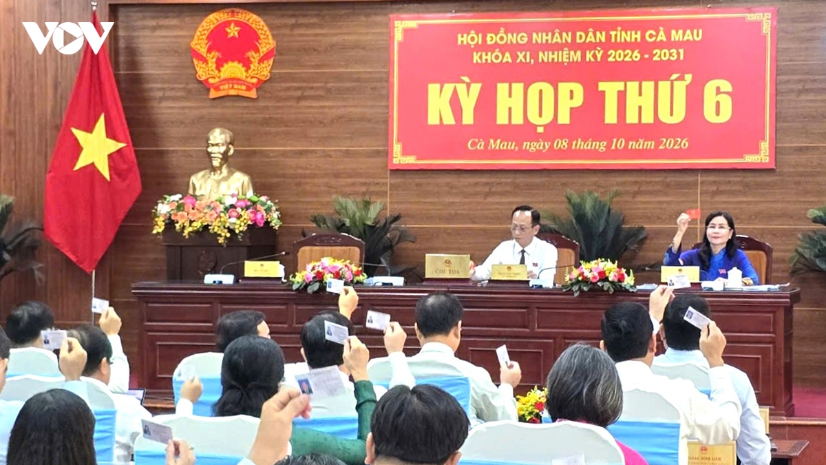 ca mau ho tro nguoi hoat dong khong chuyen trach nghi viec hinh anh 2