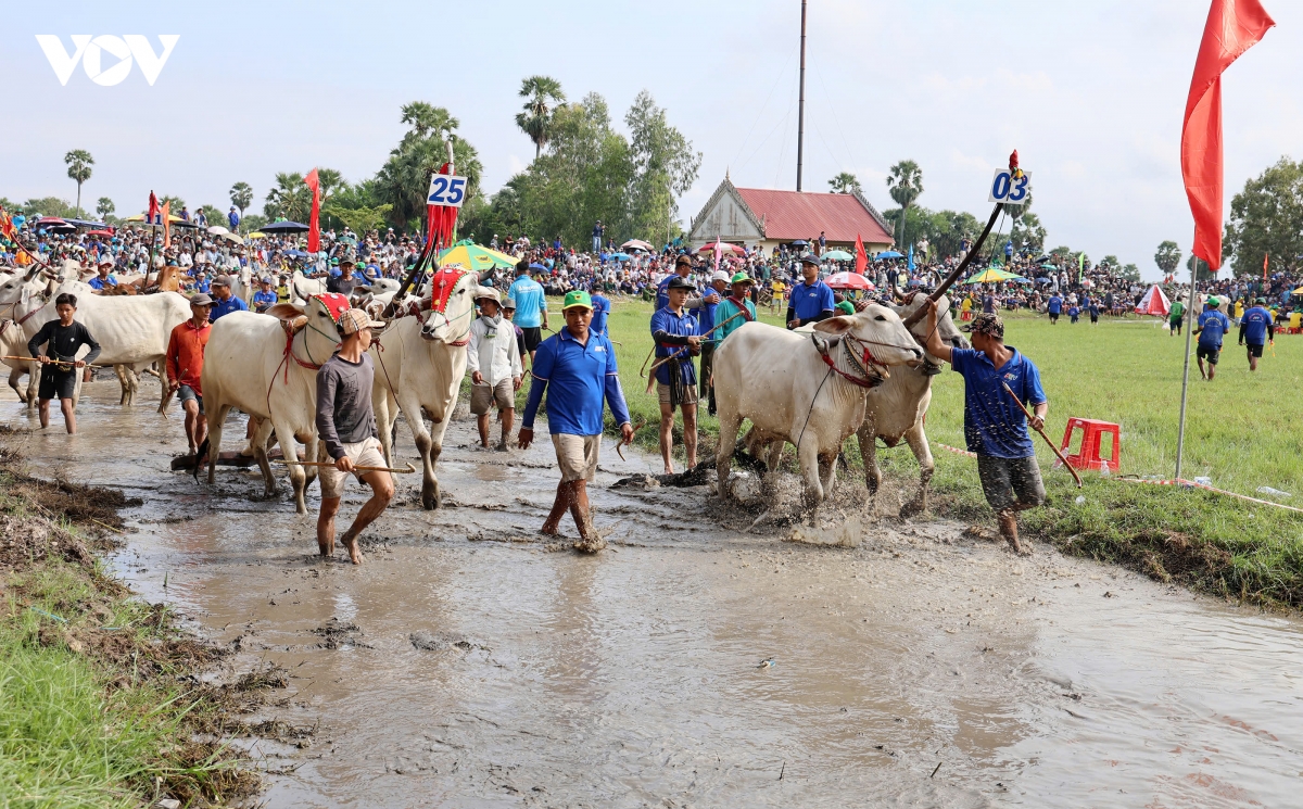 an giang 64 doi bo tranh tai tai hoi dua bo bay nui hinh anh 4