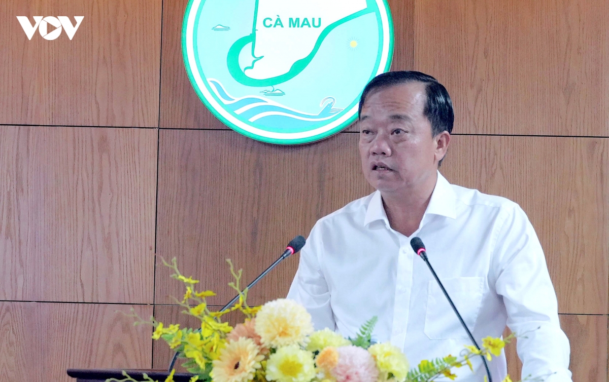 ca mau xay dung chinh quyen so, tao dong luc tang truong kinh te hinh anh 1