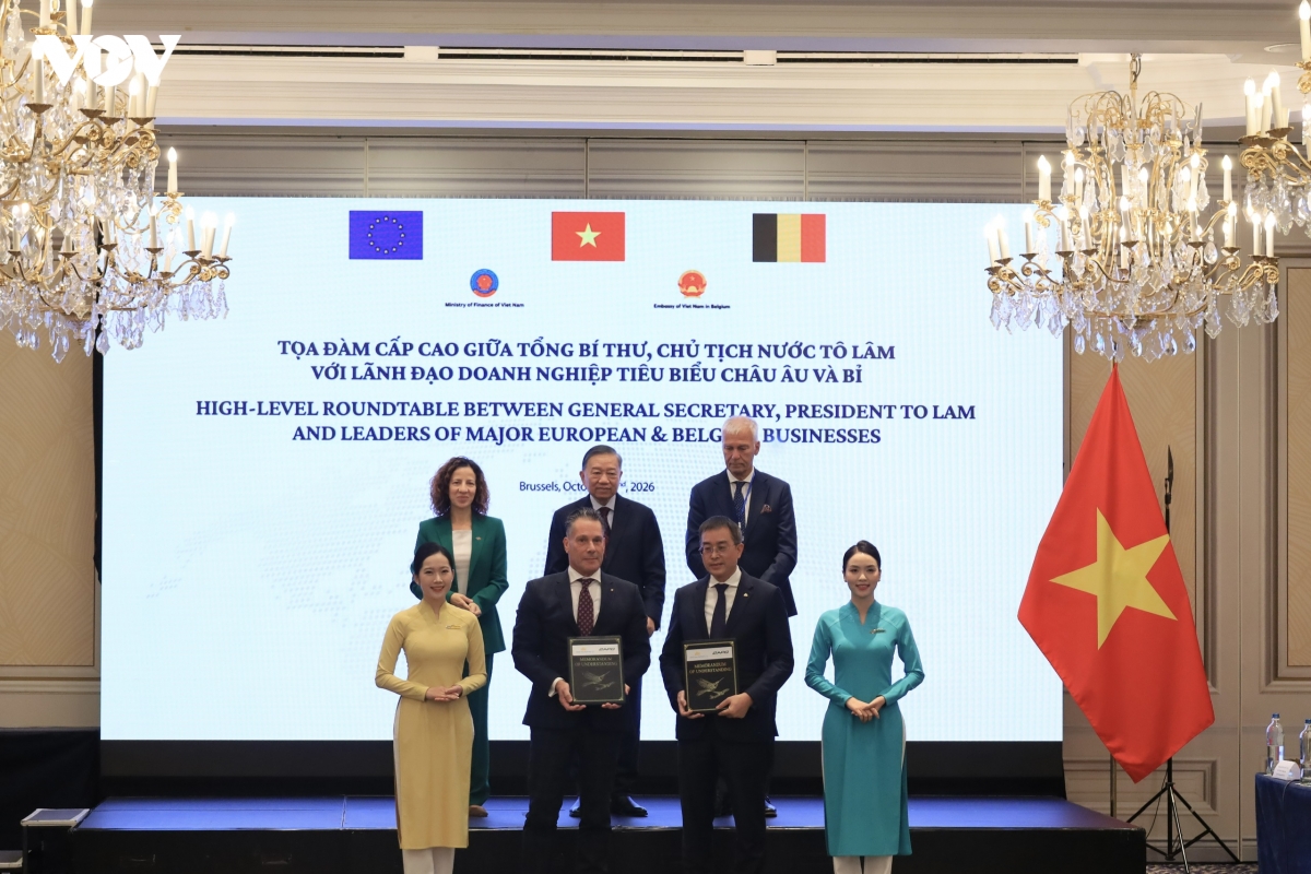 toan canh chuyen tham eu, Dan mach va vuong quoc bi cua tong bi thu, chu tich nuoc to lam hinh anh 15