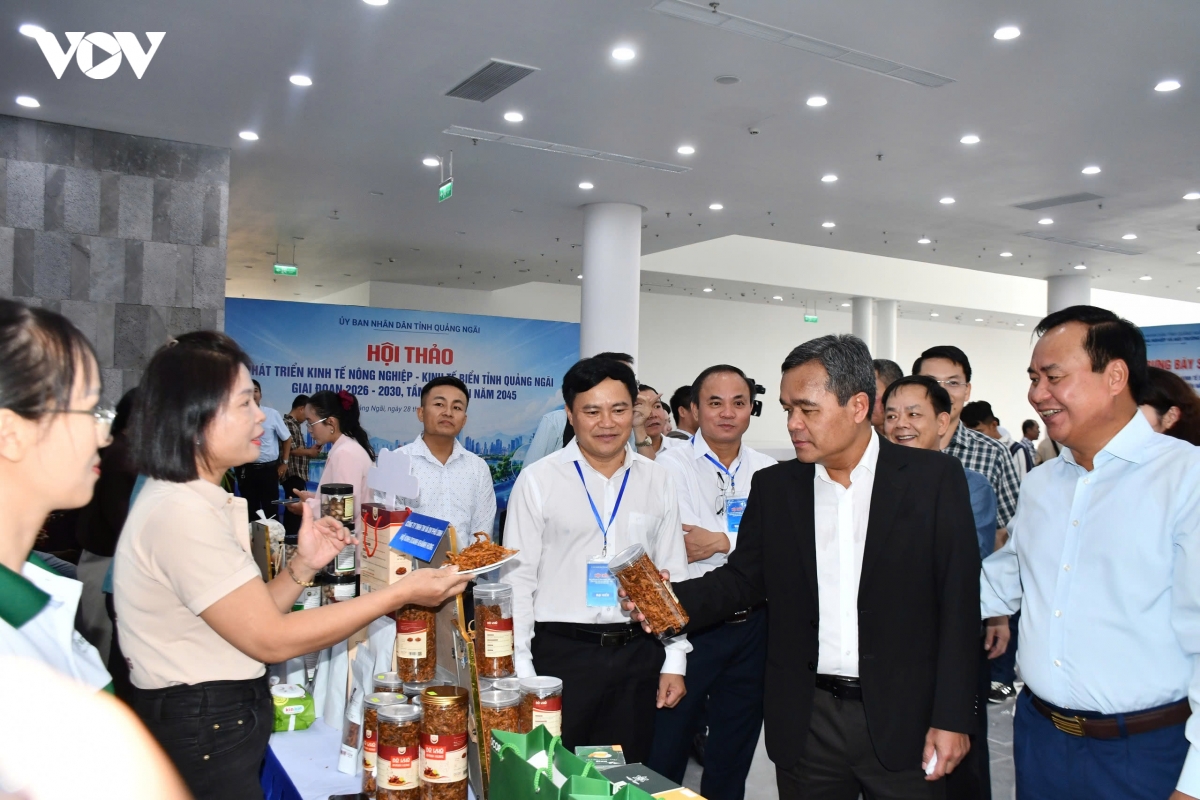 quang ngai mo huong phat trien nong nghiep, kinh te bien hinh anh 4