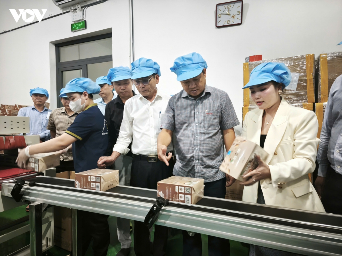 Đắk Lắk cần doanh nghiệp đầu tàu tạo sức bật tăng trưởng