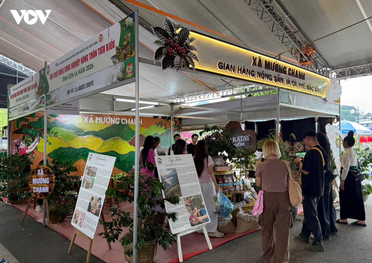 noi tinh hoa ca phe hoi tu hinh anh 2